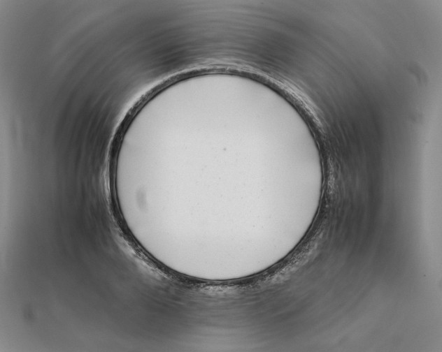 X0000112070888200908251040