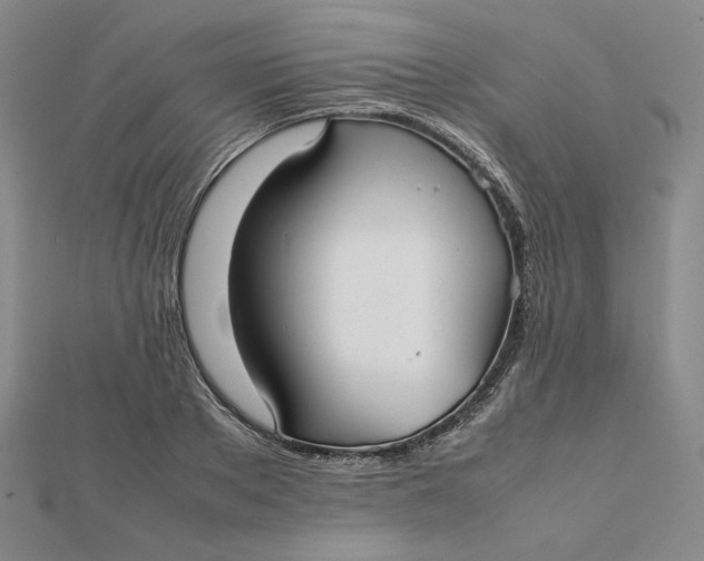 X0000112070889200908251040