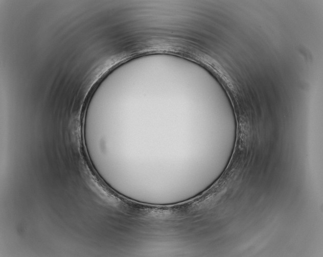 X0000112070890200908251040