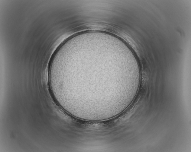 X0000112070891200908251040