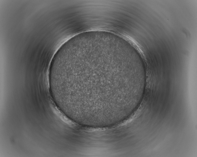 X0000112070892200908251040