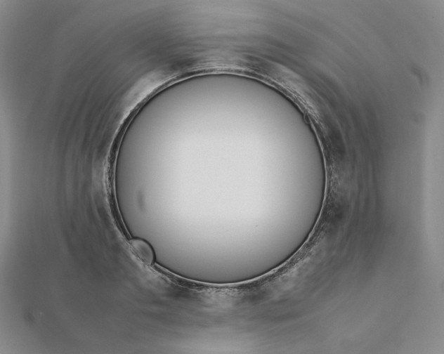 X0000112070893200908251040