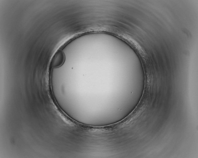 X0000112070894200908251040