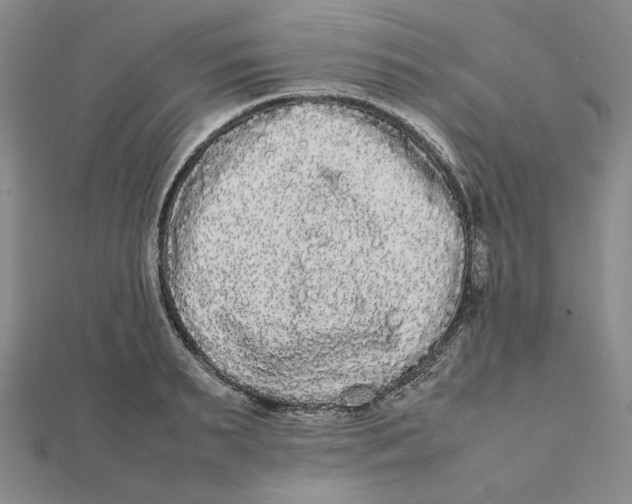 X0000112070895200908251040