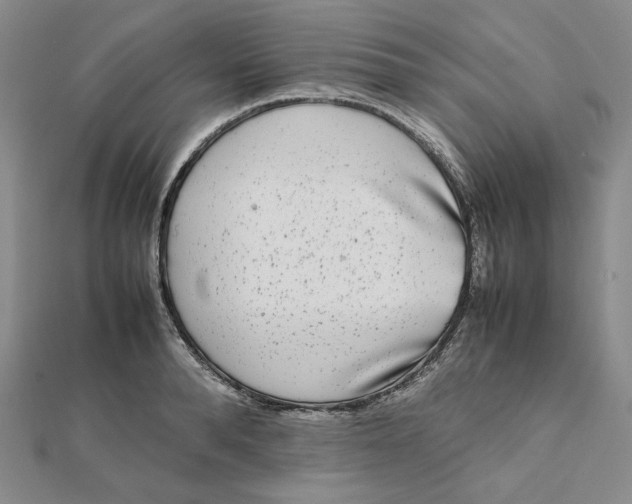 X0000112070896200908251040