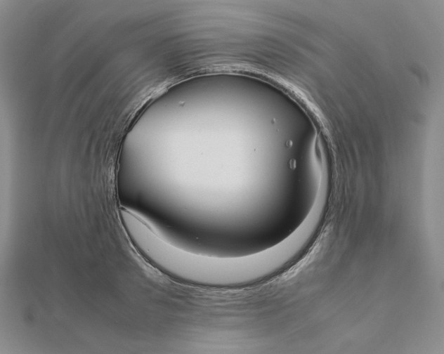 X0000112070897200908251040