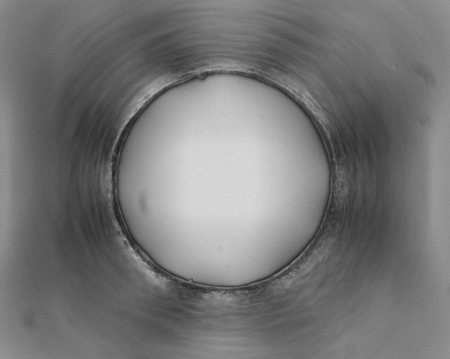 X0000112070898200908251040