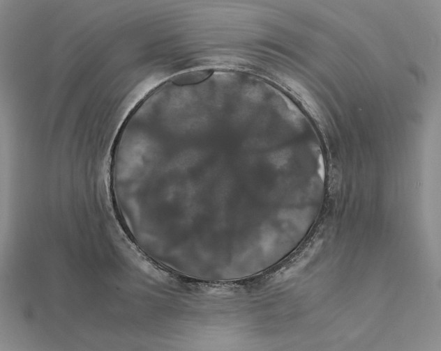 X0000112070899200908251040