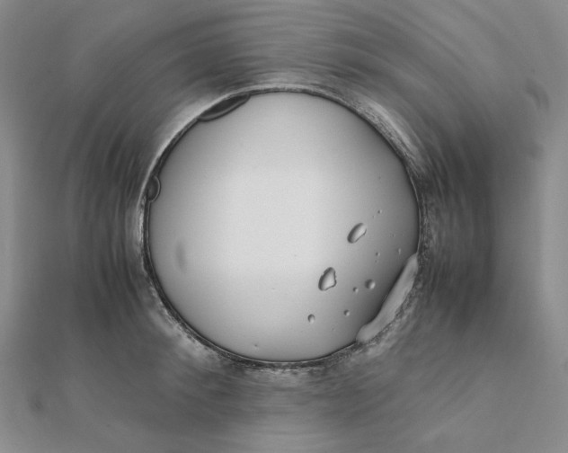 X0000112070900200908251040