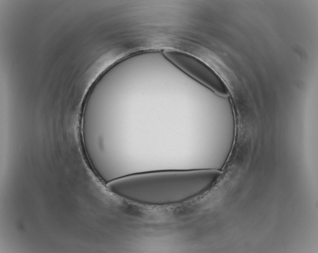 X0000112070901200908251040