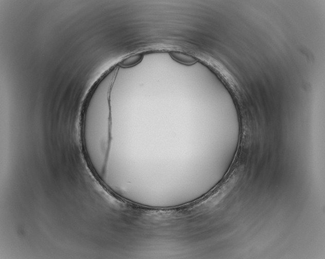 X0000112070902200908251040