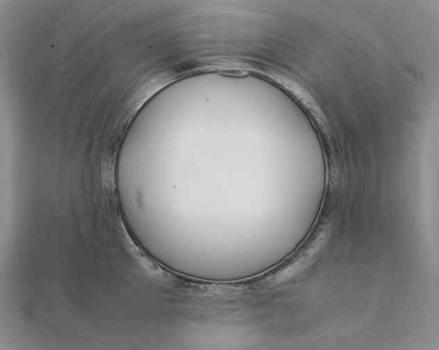 X0000112070905200908251040