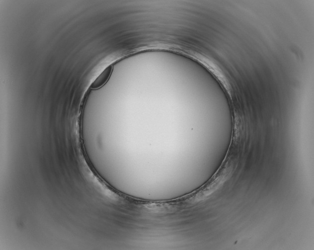 X0000112070906200908251040