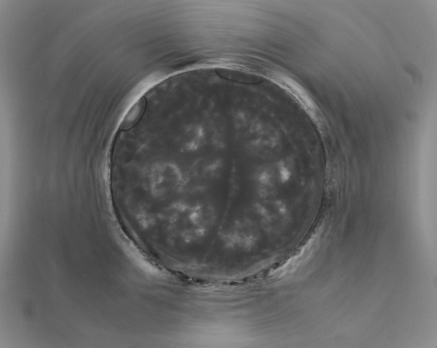 X0000112070907200908251040