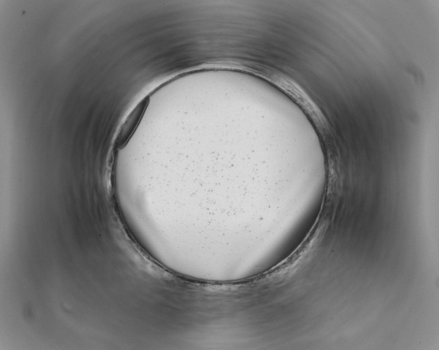 X0000112070908200908251040