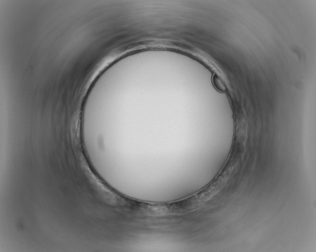 X0000112070911200908251040