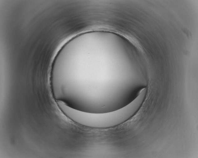 X0000112070912200908251040