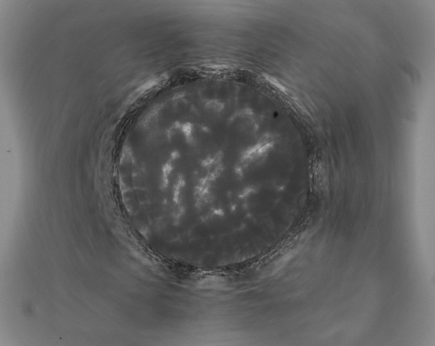 X0000112070913200908251039