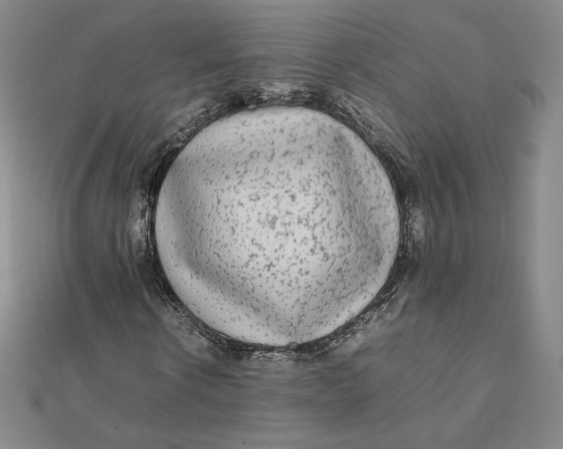 X0000112070914200908251039