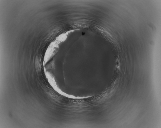 X0000112070915200908251039