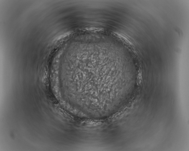 X0000112070917200908251039