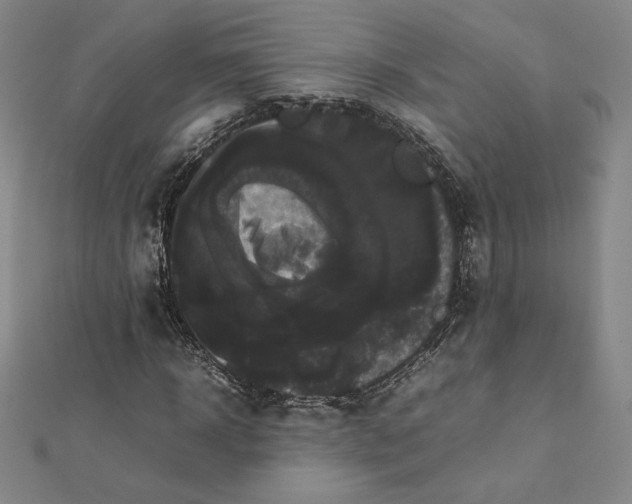 X0000112070918200908251039