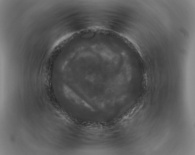 X0000112070919200908251039