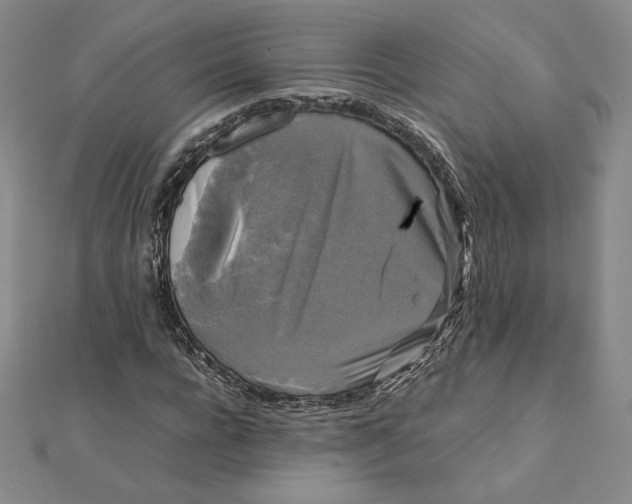X0000112070920200908251039