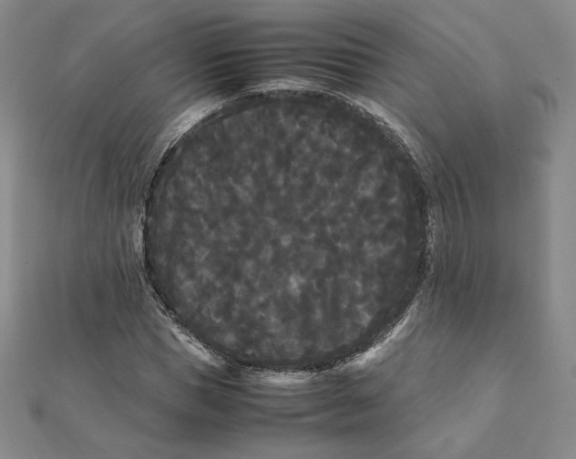 X0000112070921200908251039