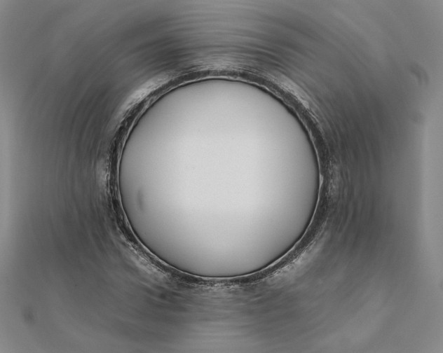 X0000112070922200908251039