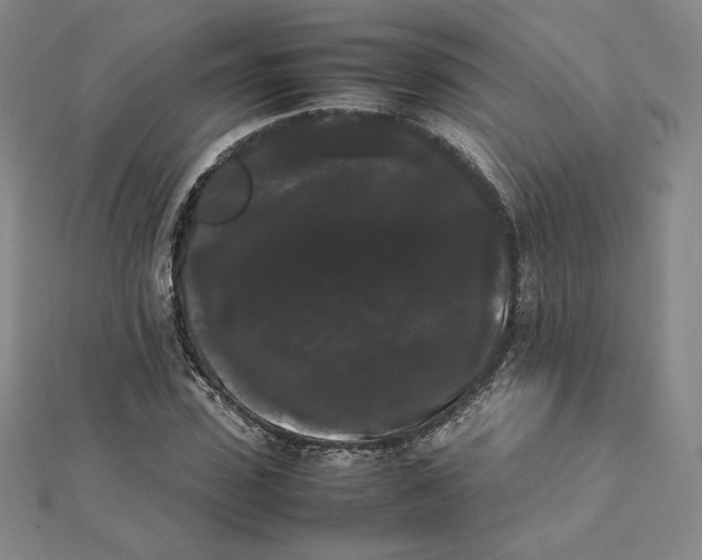 X0000112070923200908251039
