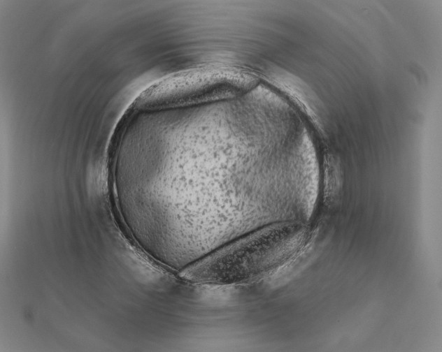 X0000112070924200908251039