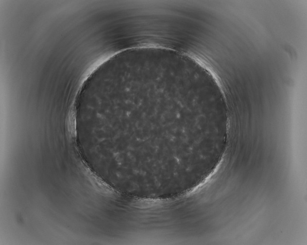 X0000112070925200908251039