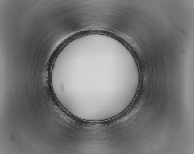 X0000112070926200908251039
