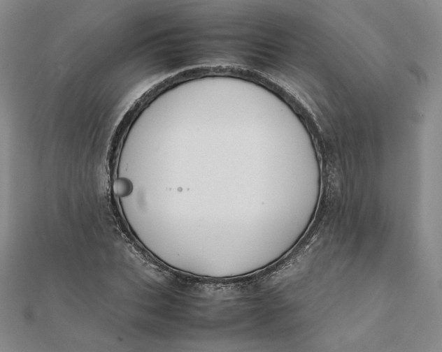 X0000112070927200908251039