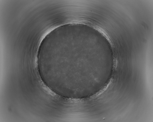 X0000112070928200908251039