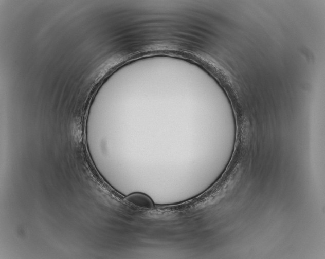 X0000112070929200908251039