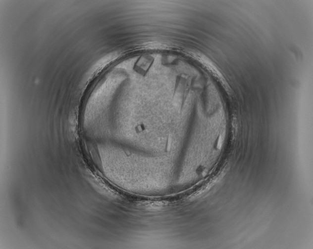 X0000112070930200908251039