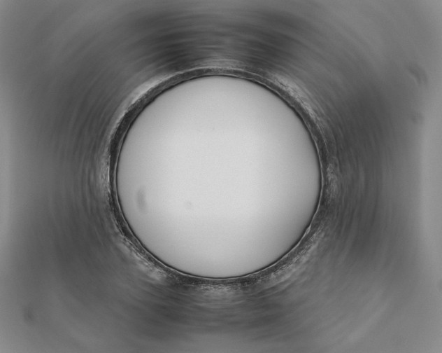 X0000112070931200908251039