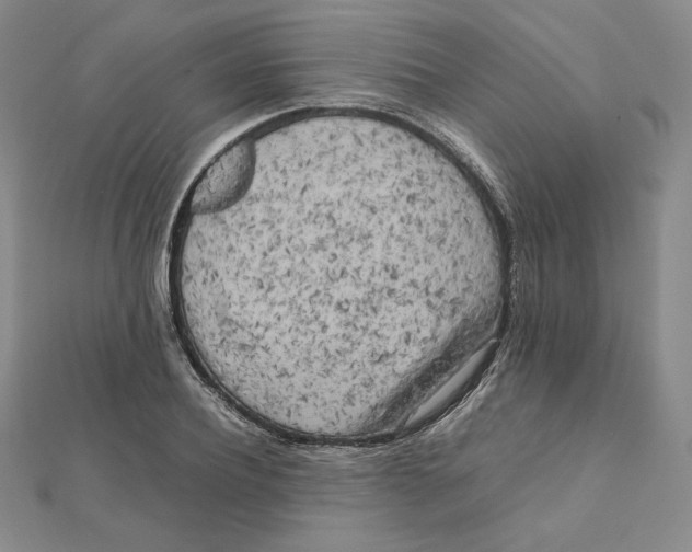 X0000112070932200908251039