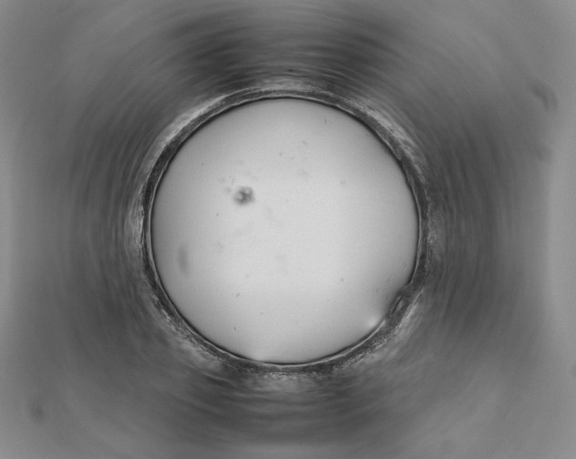 X0000112070933200908251039