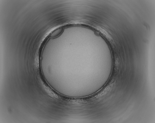 X0000112070934200908251039