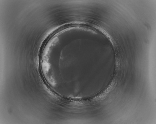 X0000112070935200908251039