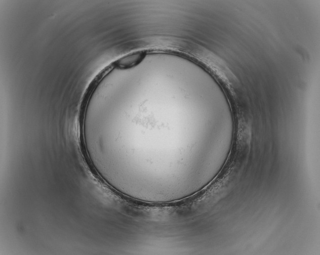 X0000112070936200908251039