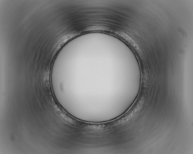 X0000112070937200908251039