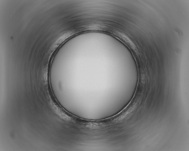 X0000112070938200908251039