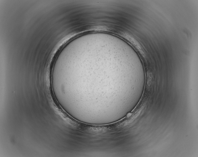 X0000112070939200908251039