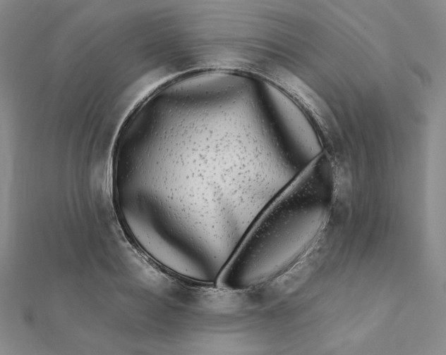X0000112070940200908251039