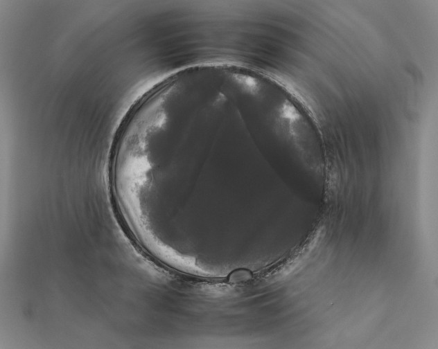 X0000112070943200908251039