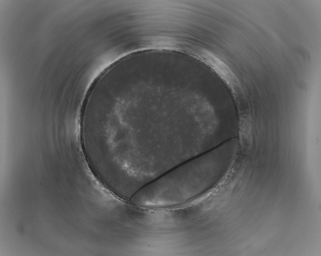 X0000112070944200908251039